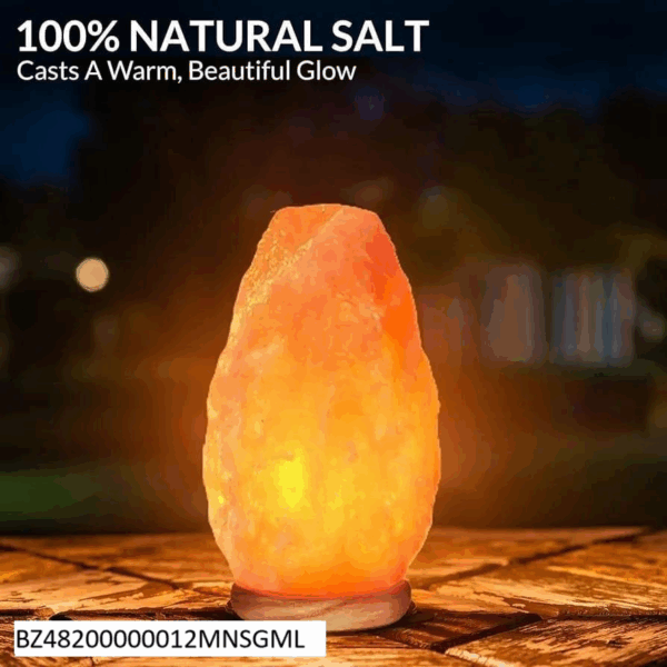 Mini Salt Decoration LED Lamp
